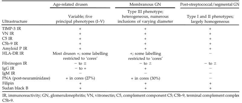 Comparison of Drusen Types. The various characteristics on histochemical, immunochemical, and ultrastructural evaluation of patients with age-related drusen, membranous glomerulonephritis, and post-streptococcal glomerulonephritis. Table appears in Mullins et al. 2001 [10]. Reproduced with permission.