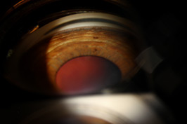 Iris processes
