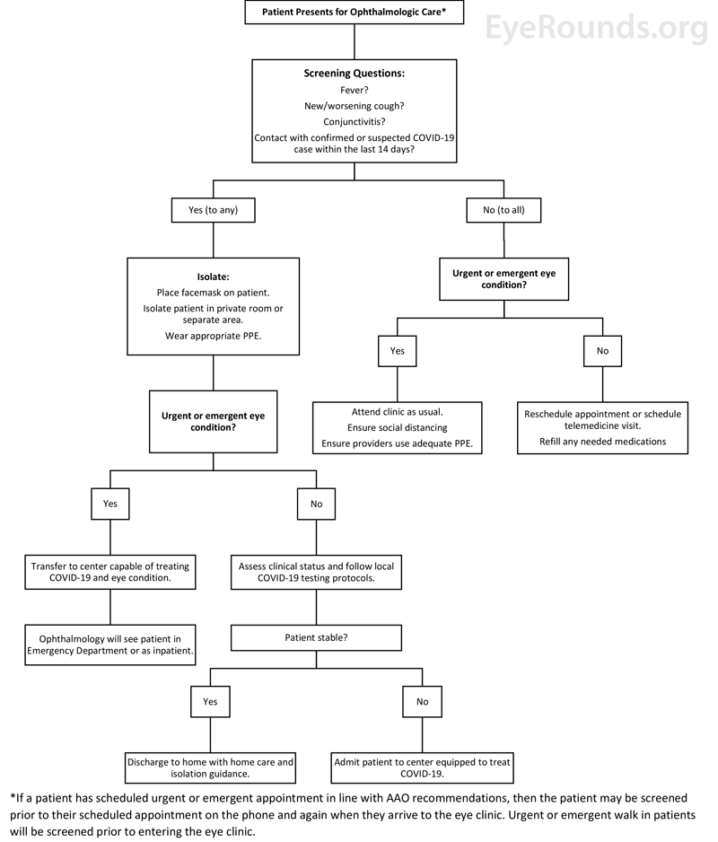Triage flowchart for patients presenting for ophthalmologic care.