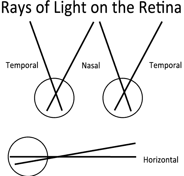 Light Paths to the Retina