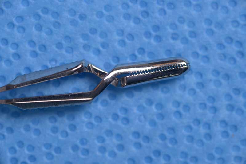 Also known as "bulldog clamps," these are commonly used in oculoplastics to secure suture and prevent entangling with other suture as is done for the rectus muscle sutures in an enucleation.