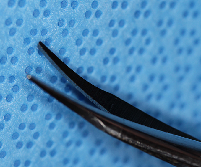 Scissor, Stevens tenotomy curved (Curved Close-up)