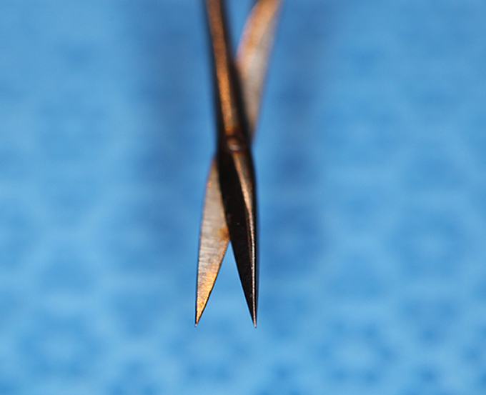 Scissor, Vannas straight capsulotomy (Enlarged)