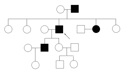 Distichiasis. pedigree