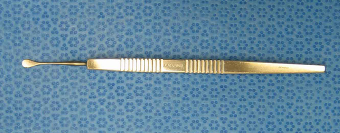 Knife Handle, Beaver 3K 4 inch