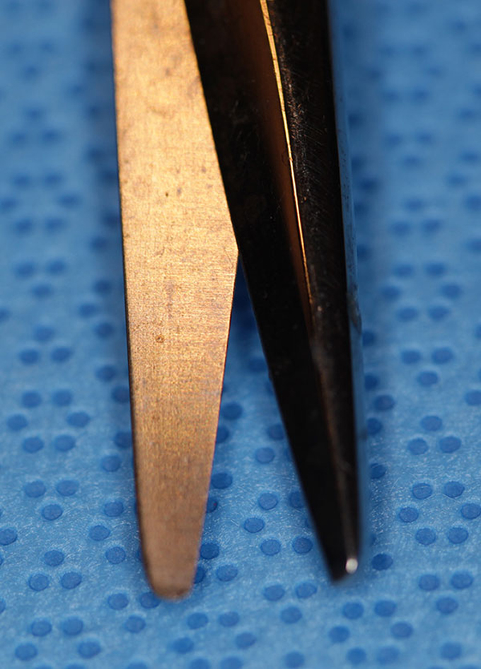 Scissors, Mayo dissecting straight 5 (Enlarged)