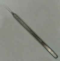 Sinsky