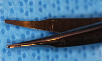 Stevens tonotomy scissors